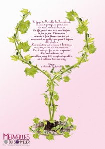 Carte de Vieux 2011 Les Merveilles du Sommelier